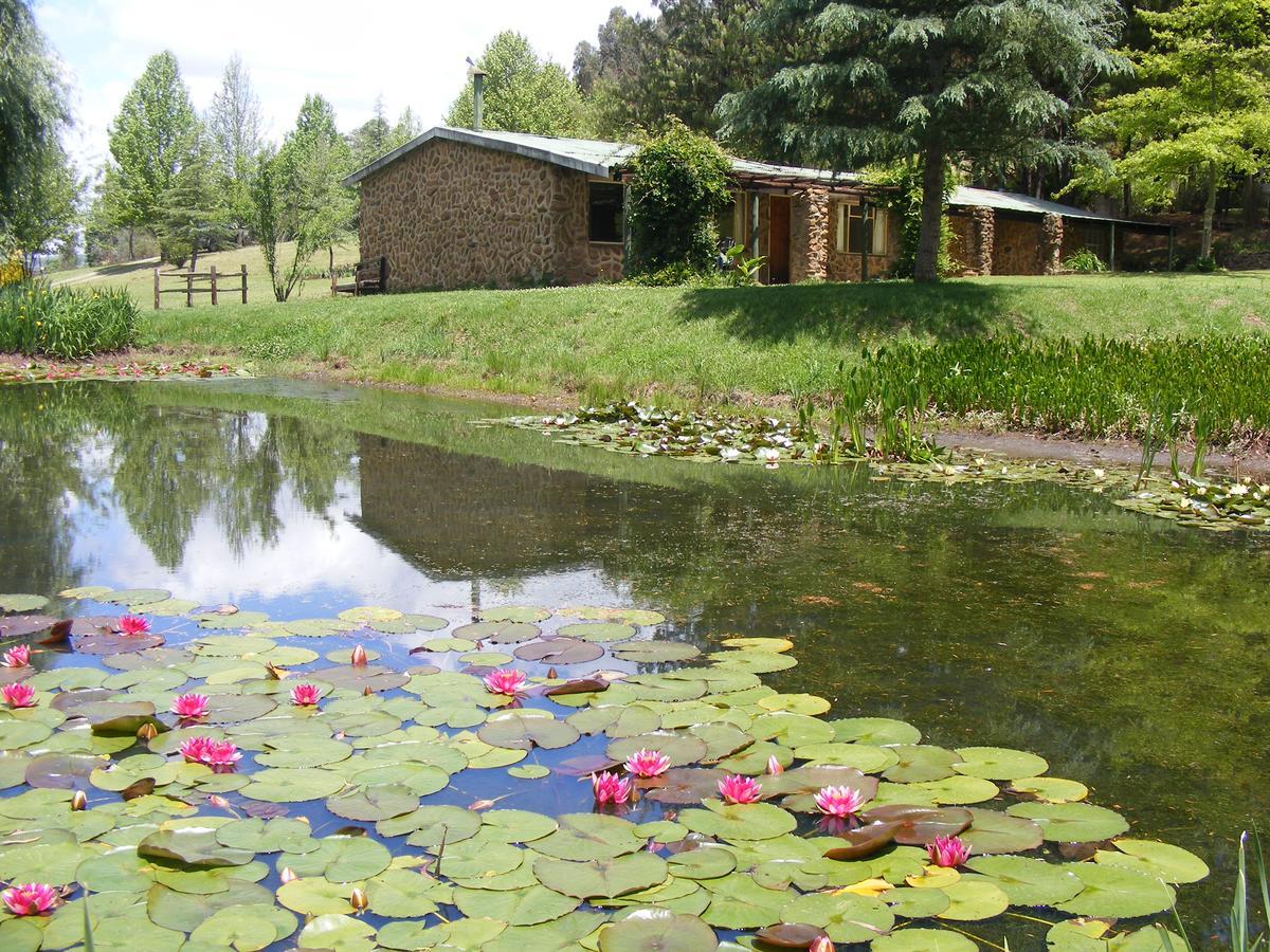 Meadow Lane Country Cottages Underberg Εξωτερικό φωτογραφία